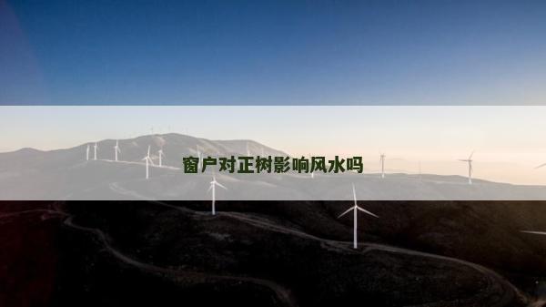 窗户对正树影响风水吗