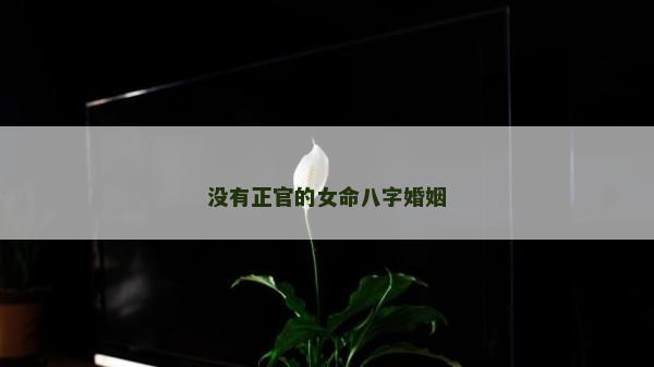 没有正官的女命八字婚姻