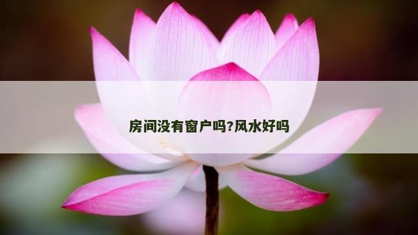 房间没有窗户吗?风水好吗