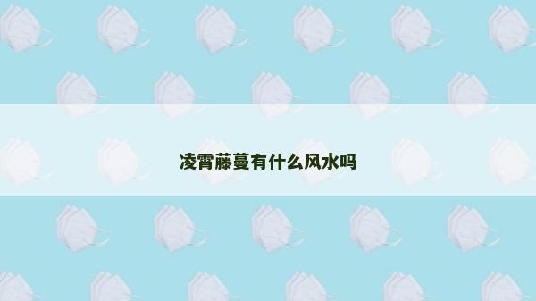 凌霄藤蔓有什么风水吗