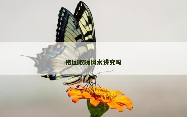 抱团取暖风水讲究吗