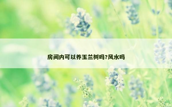 房间内可以养玉兰树吗?风水吗