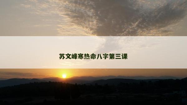 苏文峰寒热命八字第三课