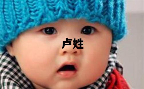 卢姓有含义的男孩名字