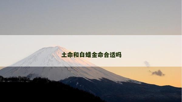 土命和白蜡金命合适吗