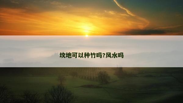坟地可以种竹吗?风水吗