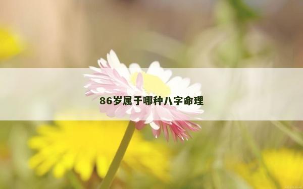 86岁属于哪种八字命理