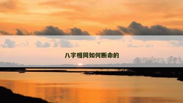 八字相同如何断命的