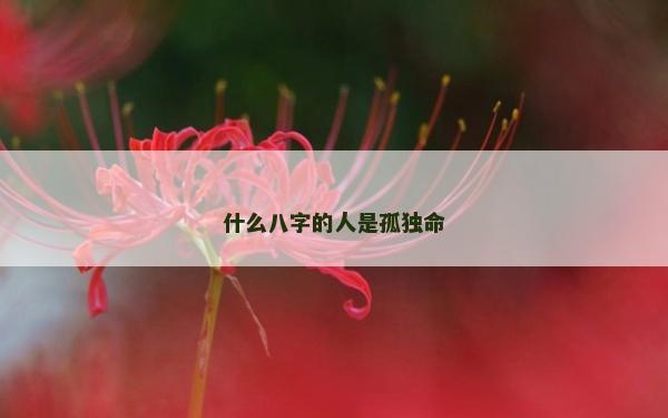 什么八字的人是孤独命