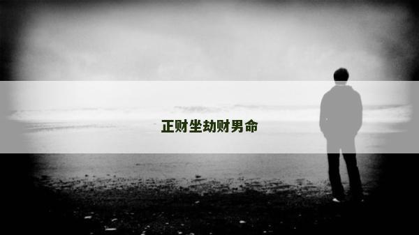 正财坐劫财男命