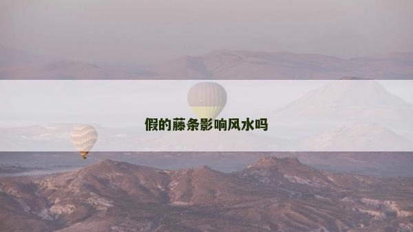 假的藤条影响风水吗