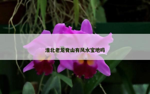 淮北老龙脊山有风水宝地吗
