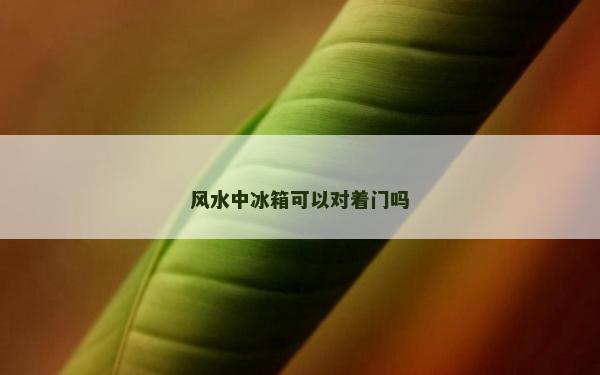 风水中冰箱可以对着门吗
