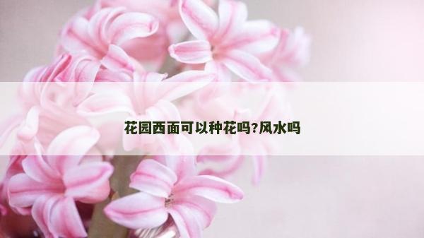 花园西面可以种花吗?风水吗