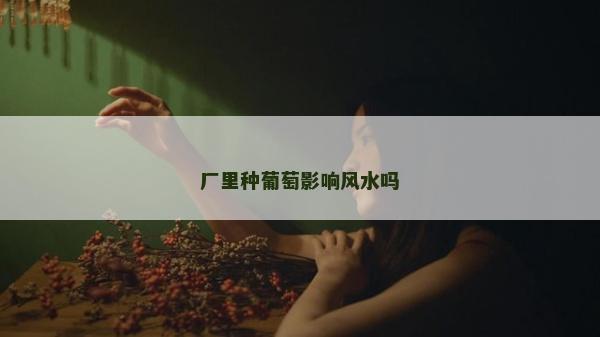 厂里种葡萄影响风水吗