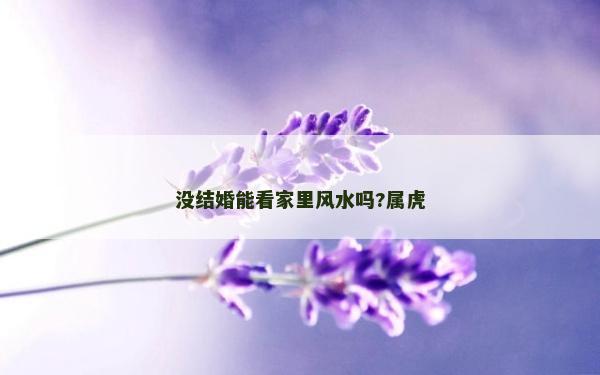 没结婚能看家里风水吗?属虎