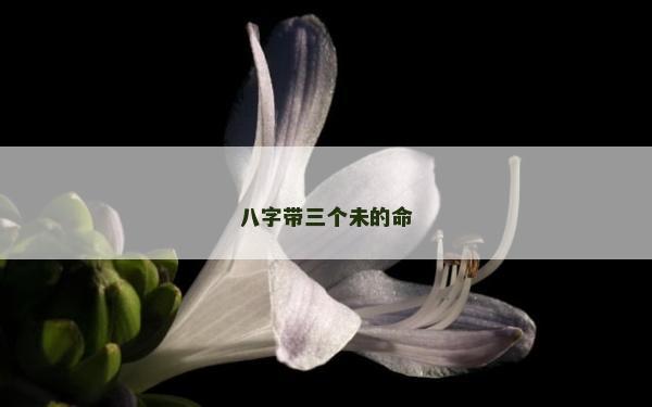 八字带三个未的命