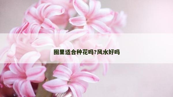 圈里适合种花吗?风水好吗