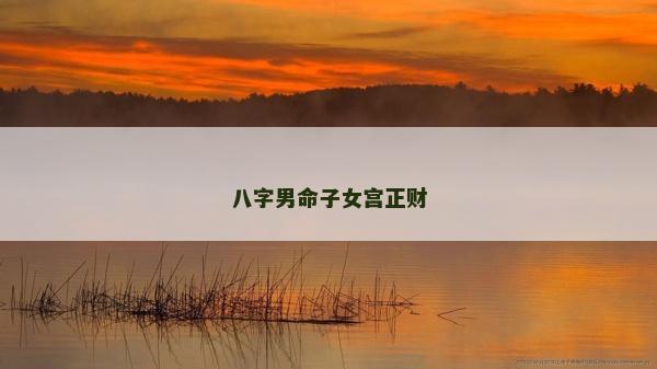 八字男命子女宫正财