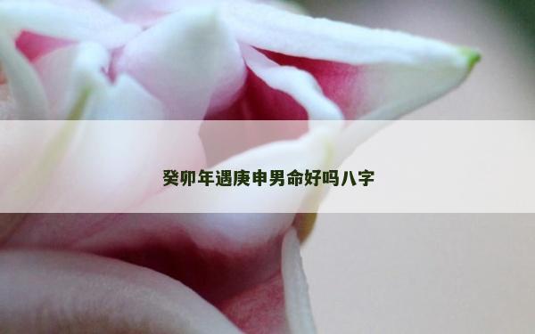 癸卯年遇庚申男命好吗八字