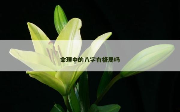 命理中的八字有格局吗