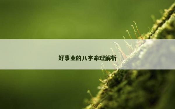 好事业的八字命理解析