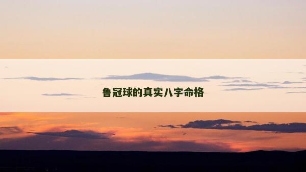 鲁冠球的真实八字命格