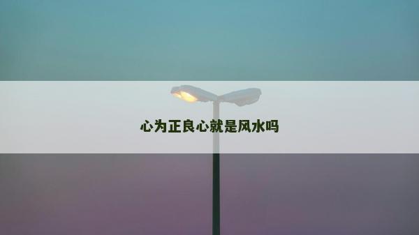 心为正良心就是风水吗