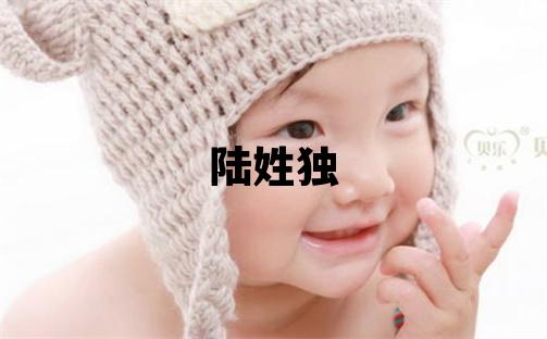 陆姓独特优美的女宝宝名字