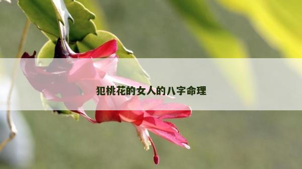 犯桃花的女人的八字命理