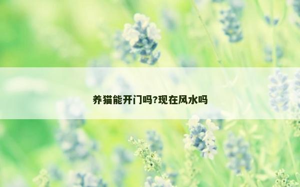 养猫能开门吗?现在风水吗