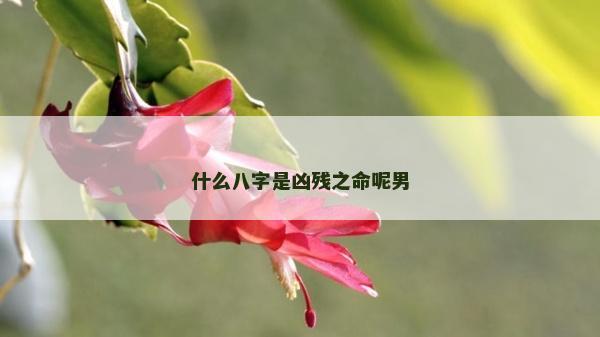 什么八字是凶残之命呢男