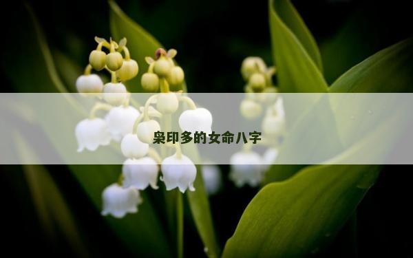 枭印多的女命八字