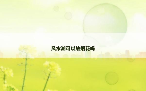 风水湖可以放烟花吗