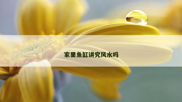 家里鱼缸讲究风水吗