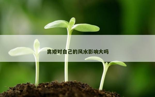 离婚对自己的风水影响大吗