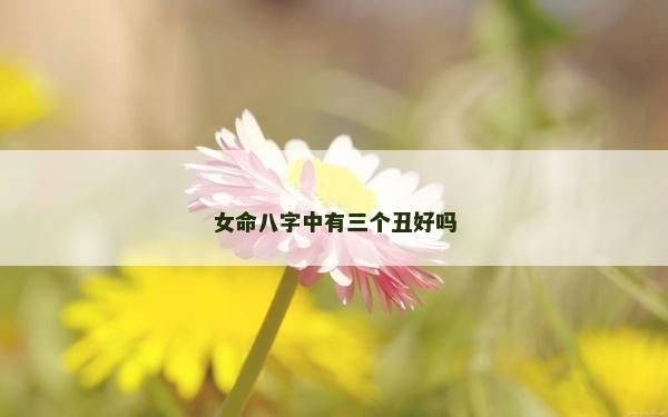 女命八字中有三个丑好吗