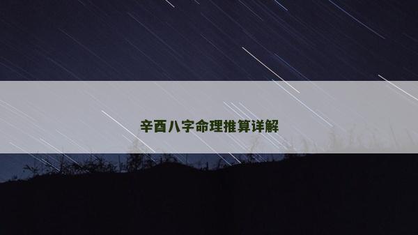 辛酉八字命理推算详解