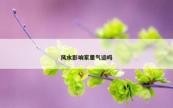 风水影响家里气运吗