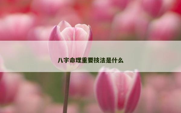 八字命理重要技法是什么