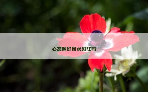 心态越好风水越旺吗