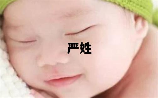 严姓朗朗上口的男孩名字,取什么名字好