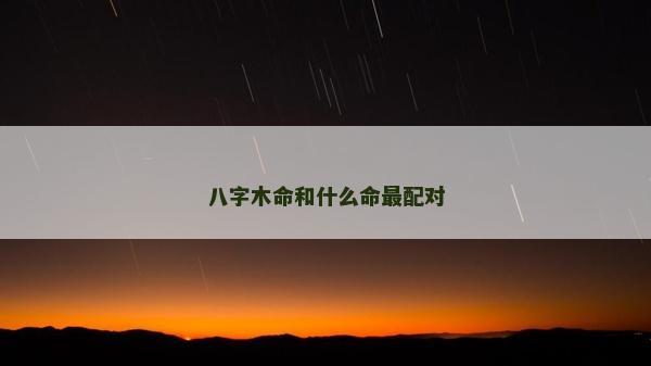 八字木命和什么命最配对