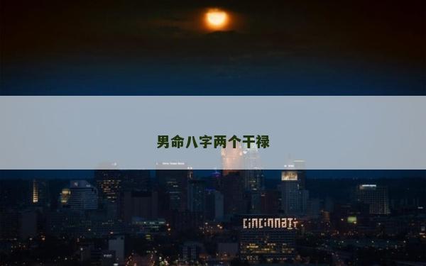 男命八字两个干禄