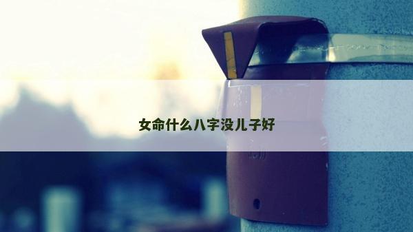 女命什么八字没儿子好