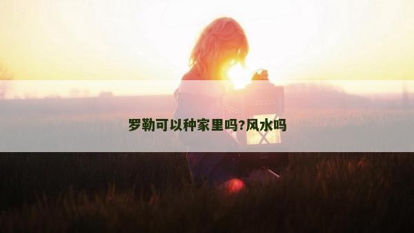 罗勒可以种家里吗?风水吗
