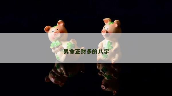 男命正财多的八字