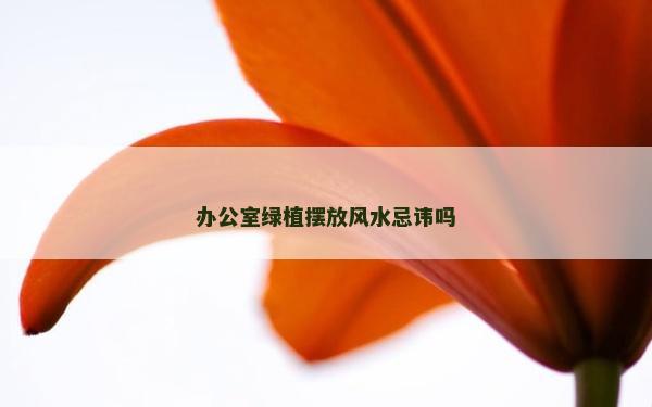 办公室绿植摆放风水忌讳吗