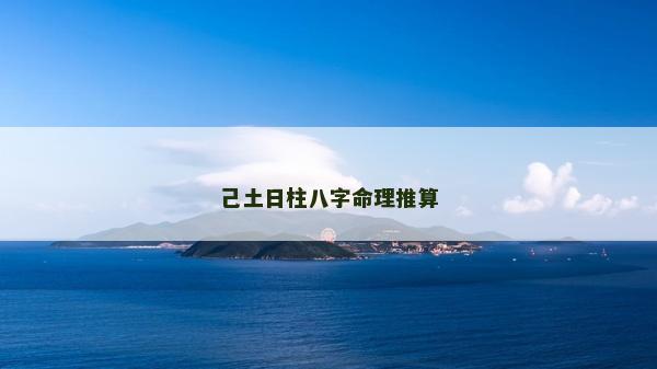 己土日柱八字命理推算