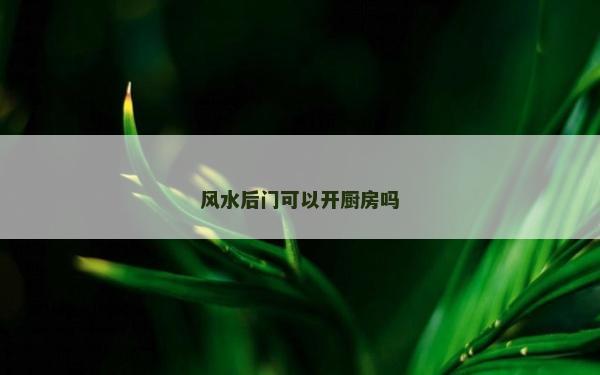 风水后门可以开厨房吗